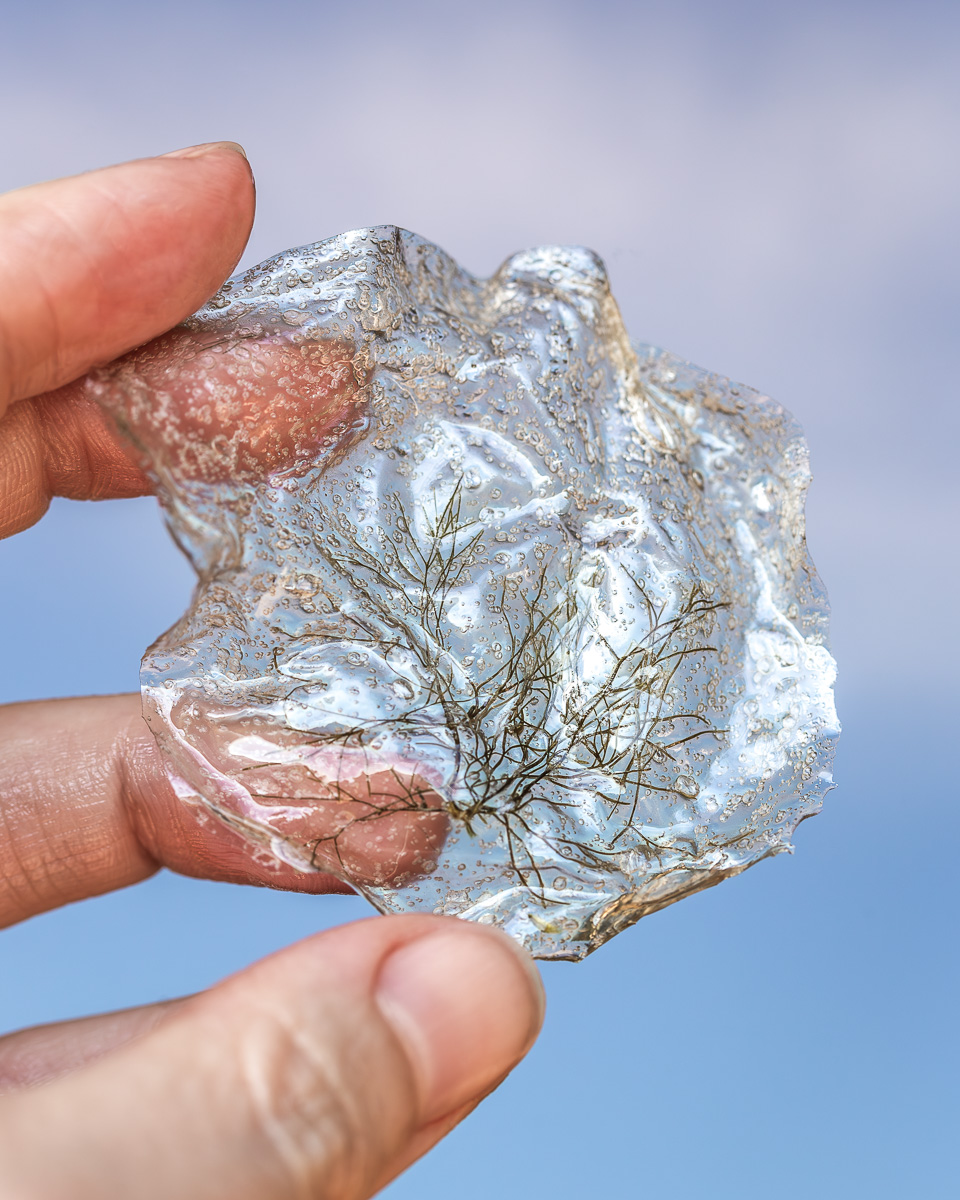 The Dangers of Aluminium Foil - Green Goddess